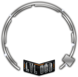 level 8
